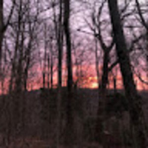 Meet your Posher, Daniel vaughn